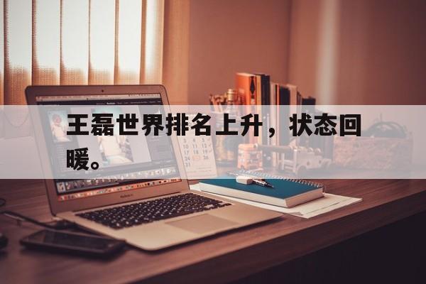 王磊世界排名上升，状态回暖。