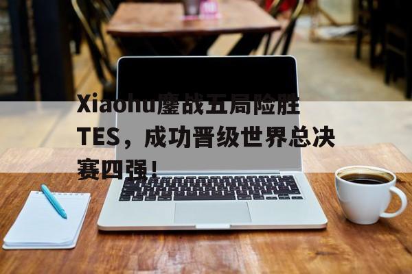 Xiaohu鏖战五局险胜TES，成功晋级世界总决赛四强！